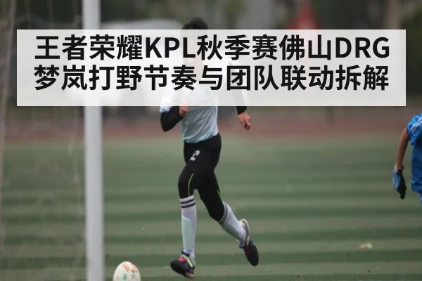 王者荣耀KPL秋季赛佛山DRG梦岚打野节奏与团队联动拆解